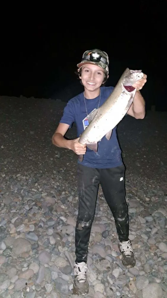 Trusted lawn mowing service in Orting, WA by SB Mowing