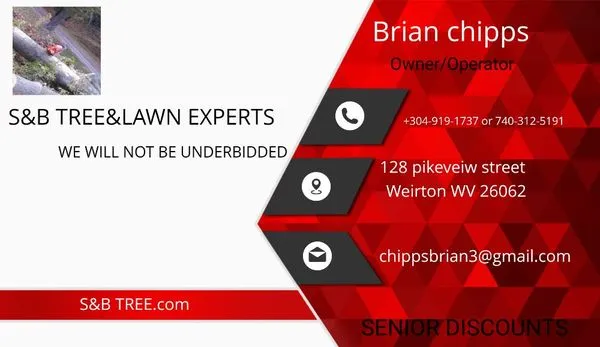 S&b Tree&lawn Experts