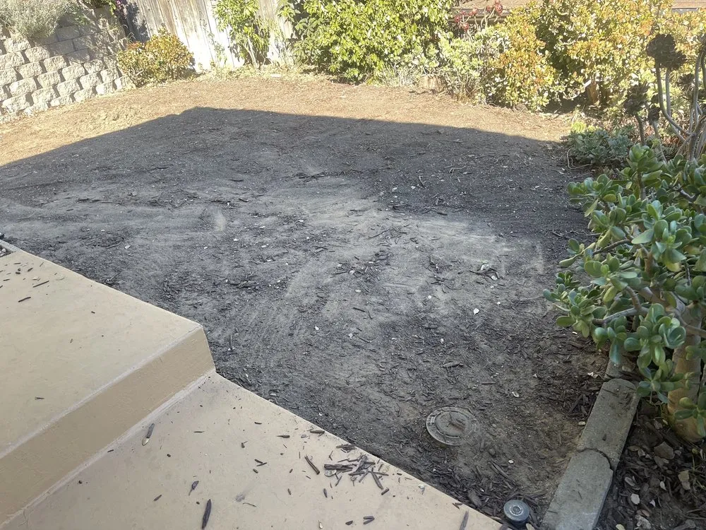 Reliable lawn care service in Santa Barbara, CA - SB Turf & Landscape