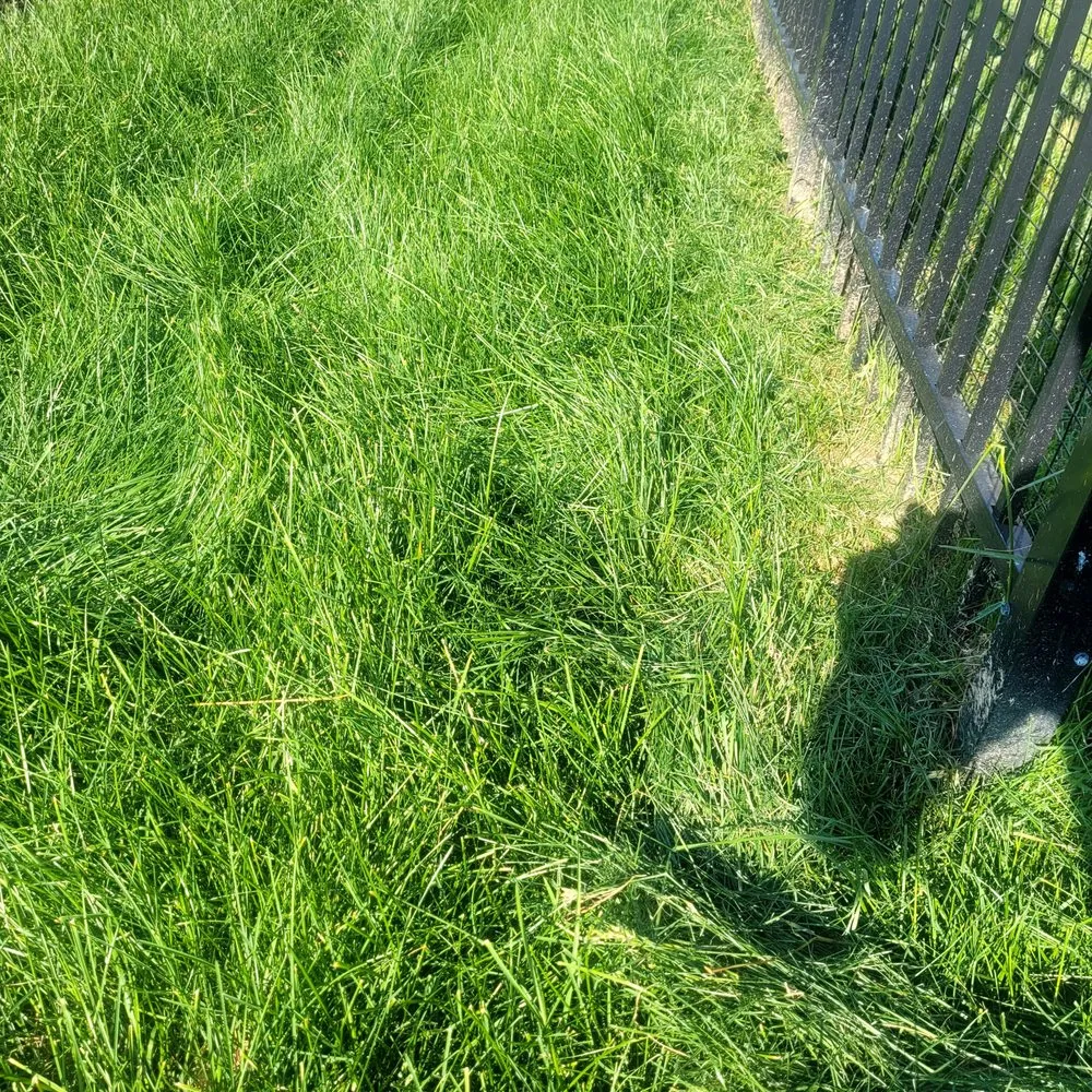 Affordable garden landscaping for homes across Baltimore, MD - SBC Outdoor Services