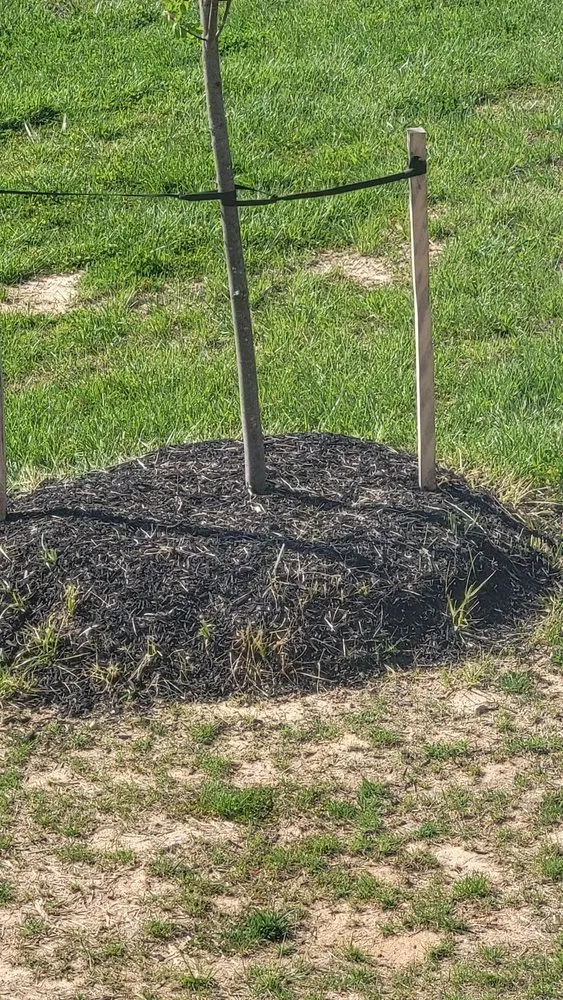 Expert outdoor landscaping in Baltimore, MD by SBC Outdoor Services