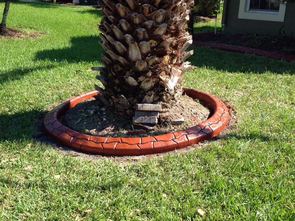Affordable landscaping services in Daytona Beach, FL by Sbcurbing and Landscaping