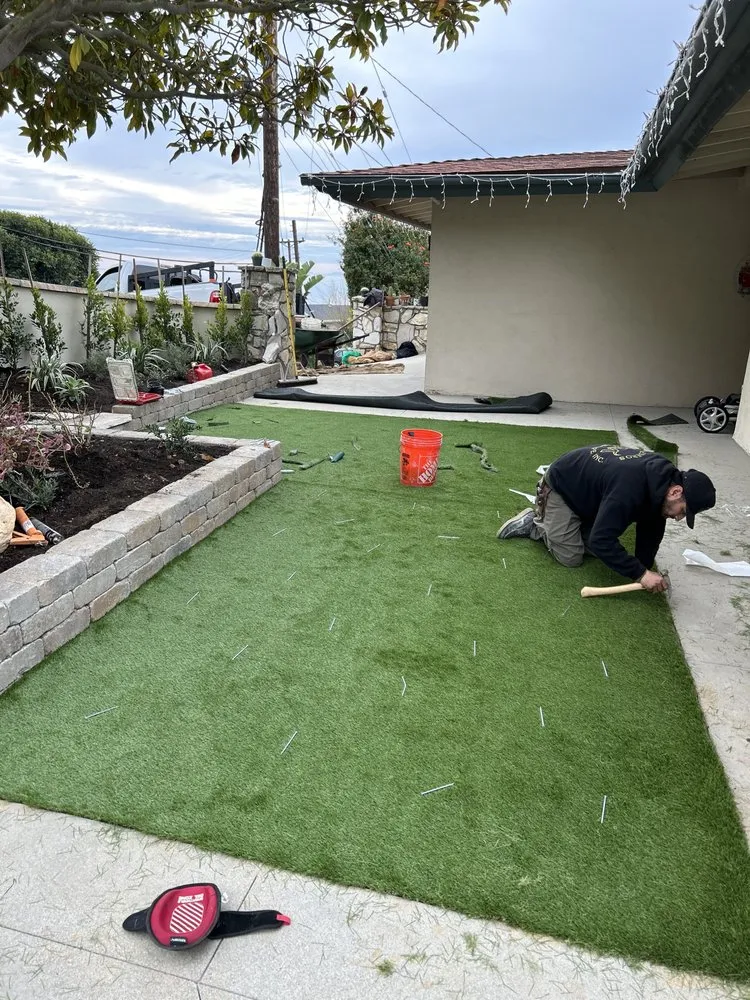 Reliable lawn care service for year-round maintenance across Palos Verdes, CA - SBDB Landscaping
