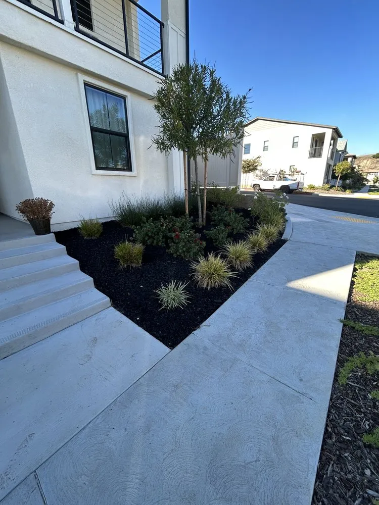 Trusted yard maintenance with custom design across Palos Verdes, CA - SBDB Landscaping