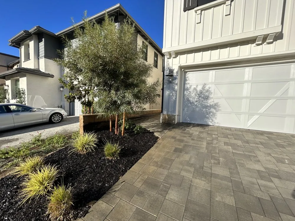 Trusted lawn care service for homes across Palos Verdes, CA - SBDB Landscaping