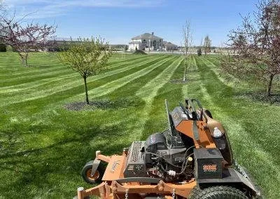 Professional yard cleanup service in Swanton, OH by SBK Lawn & Landscape