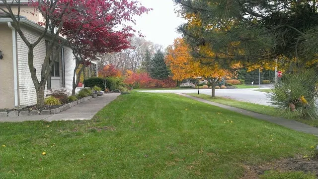 Expert landscaping services experts serving Columbus, OH - SBR Lawn Care