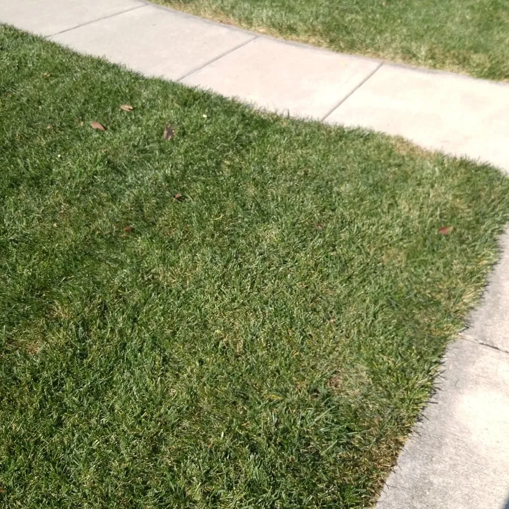 Professional lawn care service in Columbus, OH by SBR Lawn Care
