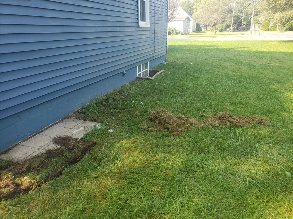 Professional landscape installation experts serving Martin, MI - SC & Sons Landscaping