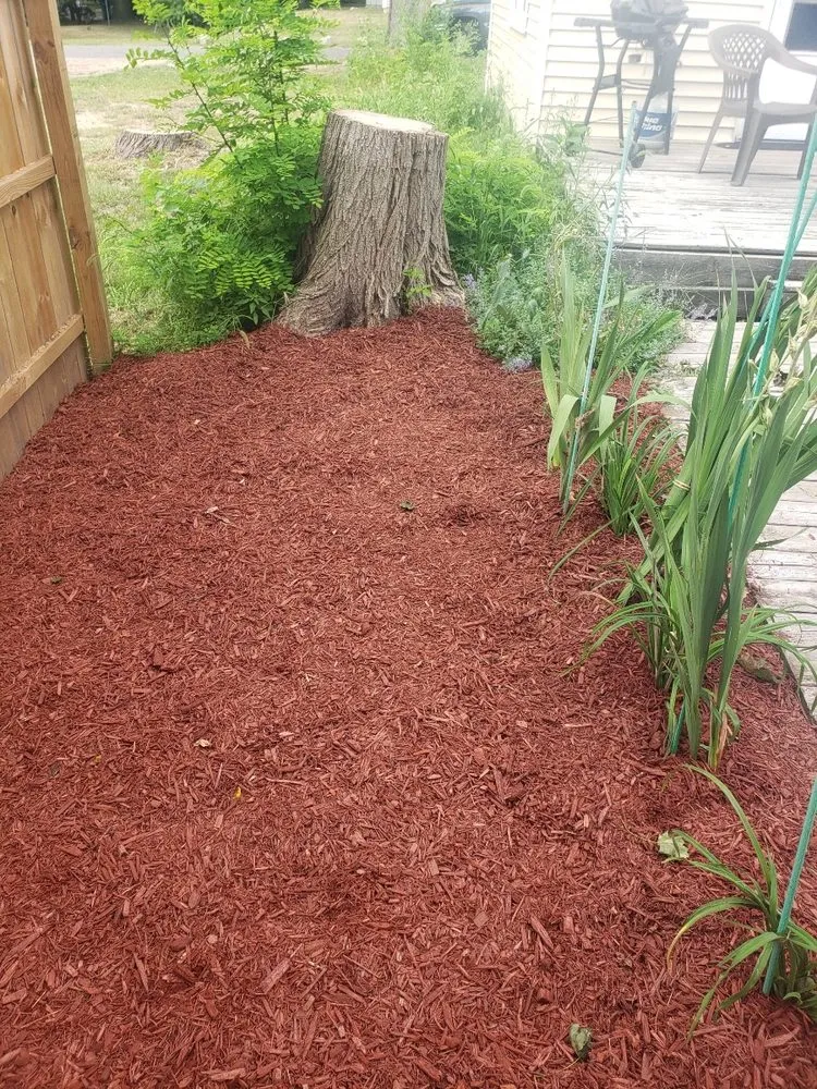 Professional landscape installation for outdoor upgrades across Martin, MI - SC & Sons Landscaping