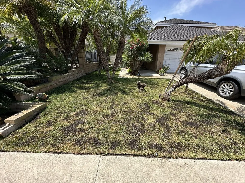 Top-rated garden landscaping in San Juan Capistrano, CA - SC Landscape