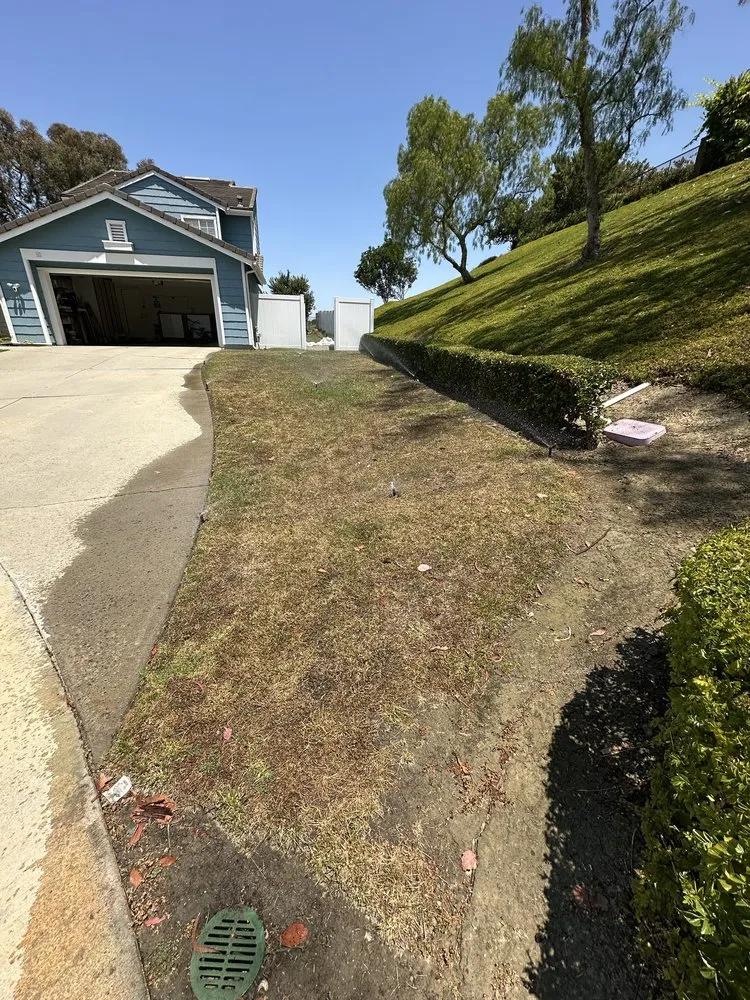 Local lawn mowing service in San Juan Capistrano, CA - SC Landscape