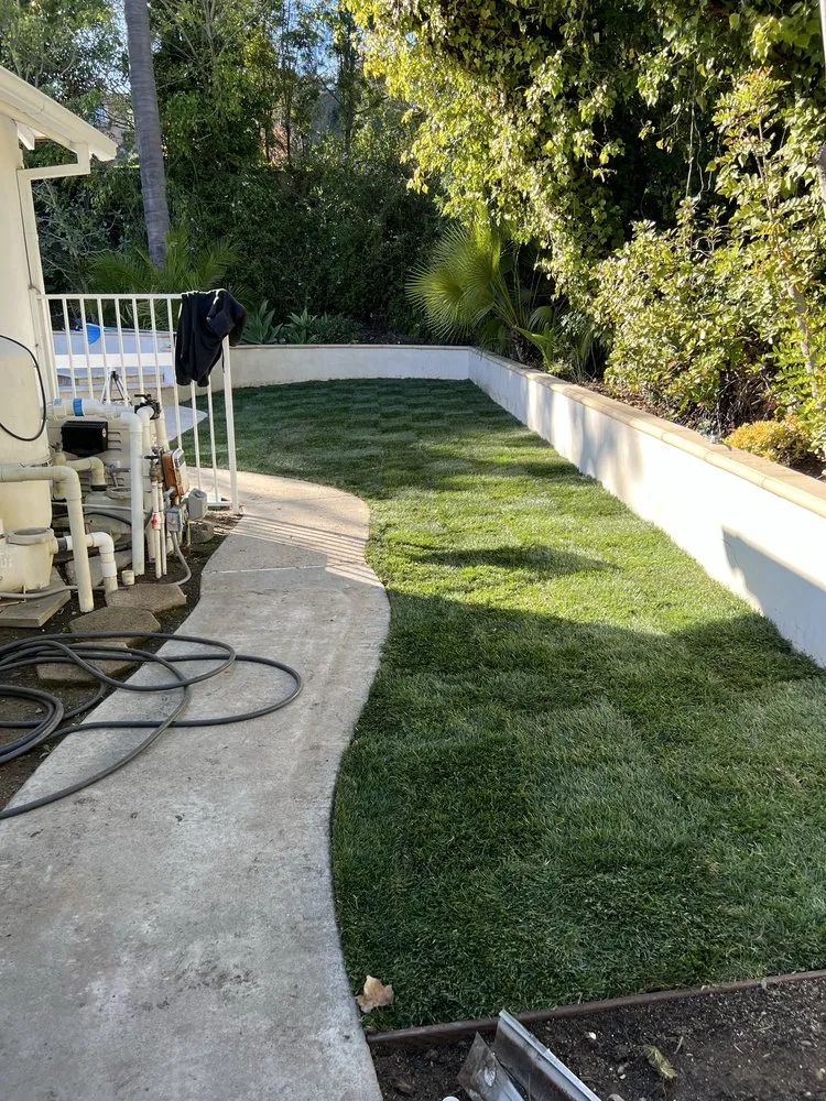 Top-rated lawn care service in San Juan Capistrano, CA by SC Landscape