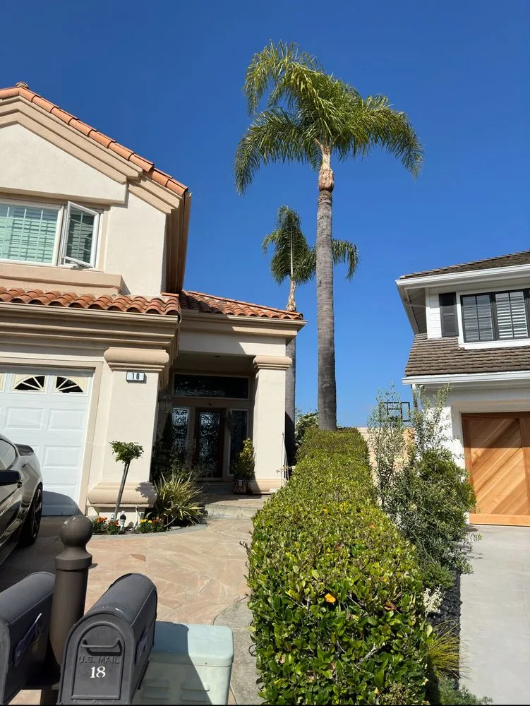 Affordable lawn mowing service in San Juan Capistrano, CA - SC Landscape