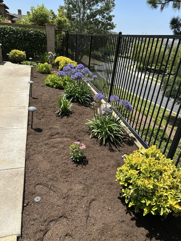 Custom garden landscaping in San Juan Capistrano, CA by SC Landscape