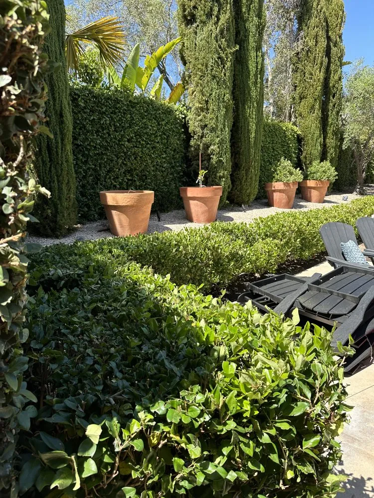 Trusted residential landscaping in San Juan Capistrano, CA by SC Landscape