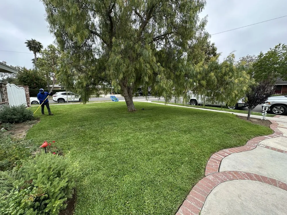 Affordable garden landscaping in San Juan Capistrano, CA - SC Landscape