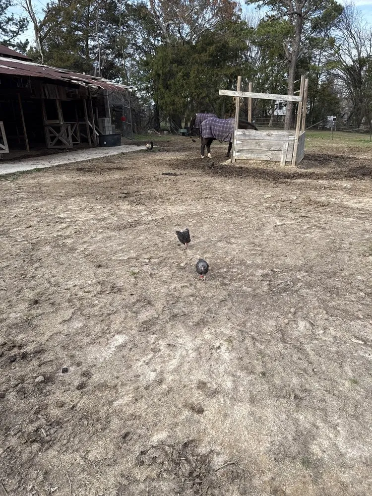 Trusted landscape design for outdoor upgrades across Chapin, SC - Sc Landscapes