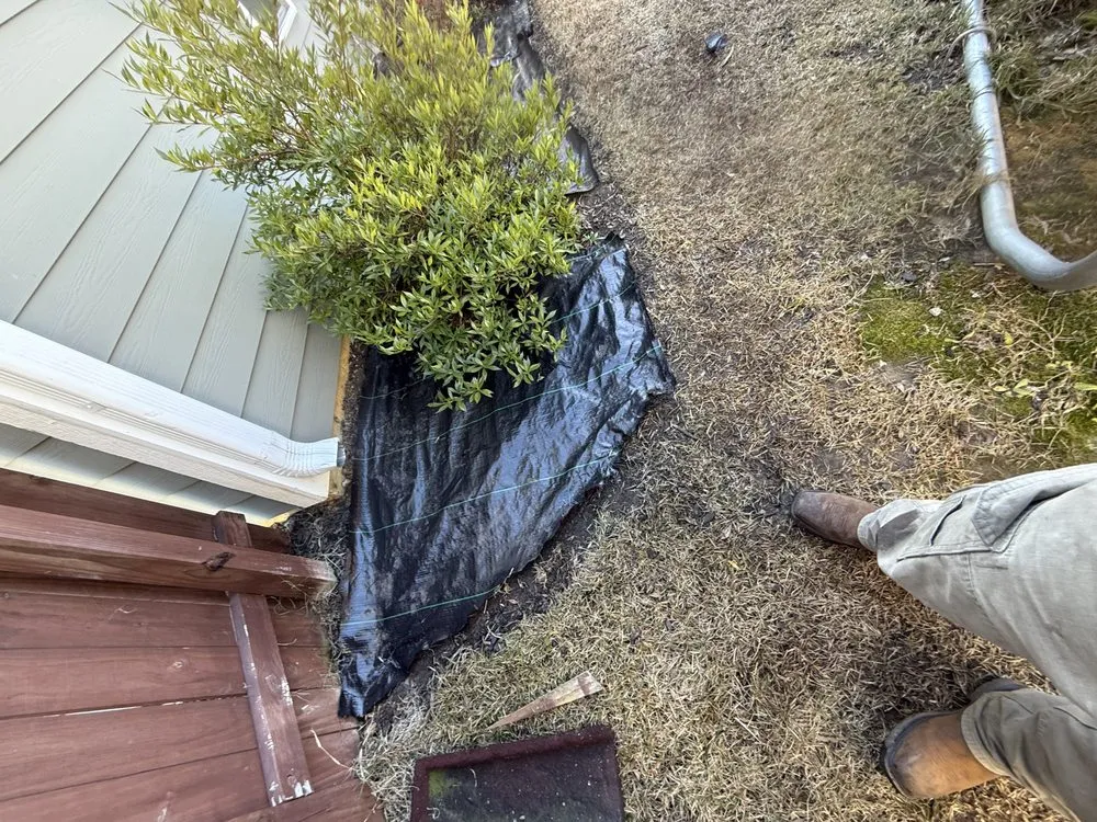 Affordable garden landscaping experts serving Chapin, SC - Sc Landscapes