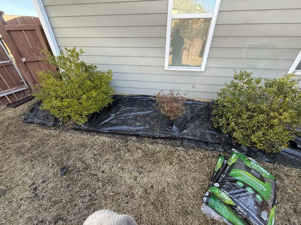 Top-rated yard cleanup service for outdoor upgrades across Chapin, SC - Sc Landscapes