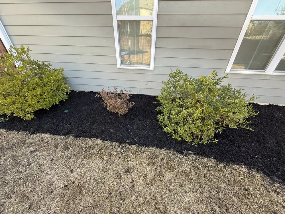 Professional landscaping services in Chapin, SC by Sc Landscapes