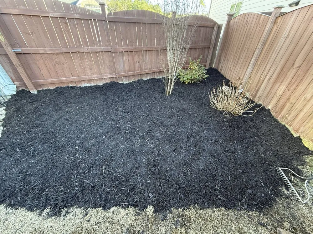 Custom yard cleanup service for homes across Chapin, SC - Sc Landscapes