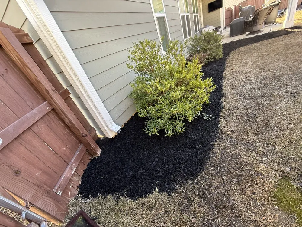 Reliable landscaping services near you across Chapin, SC - Sc Landscapes