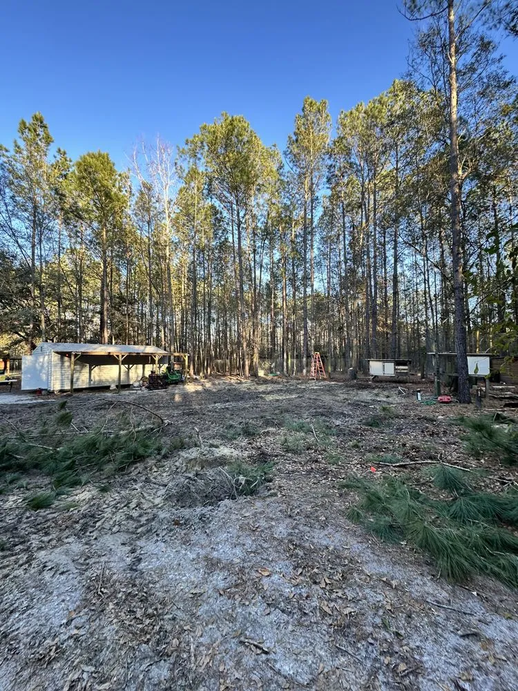 Expert landscape installation in Varnville, SC by SC Landscapes