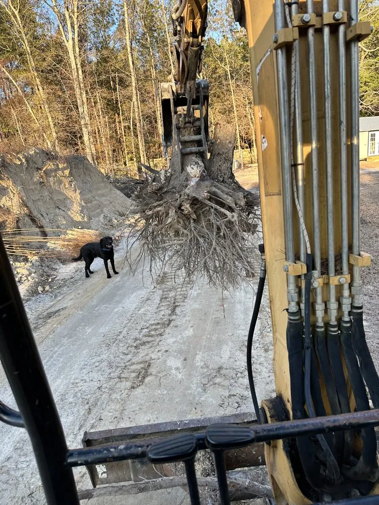 Expert lawn care service in Varnville, SC by SC Landscapes