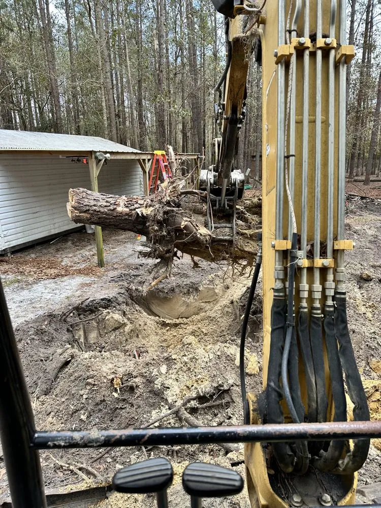 Top-rated yard cleanup service in Varnville, SC - SC Landscapes