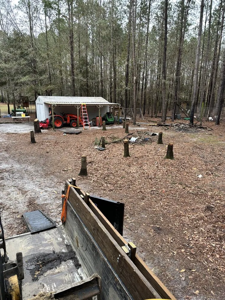 Trusted landscape design experts serving Varnville, SC - SC Landscapes