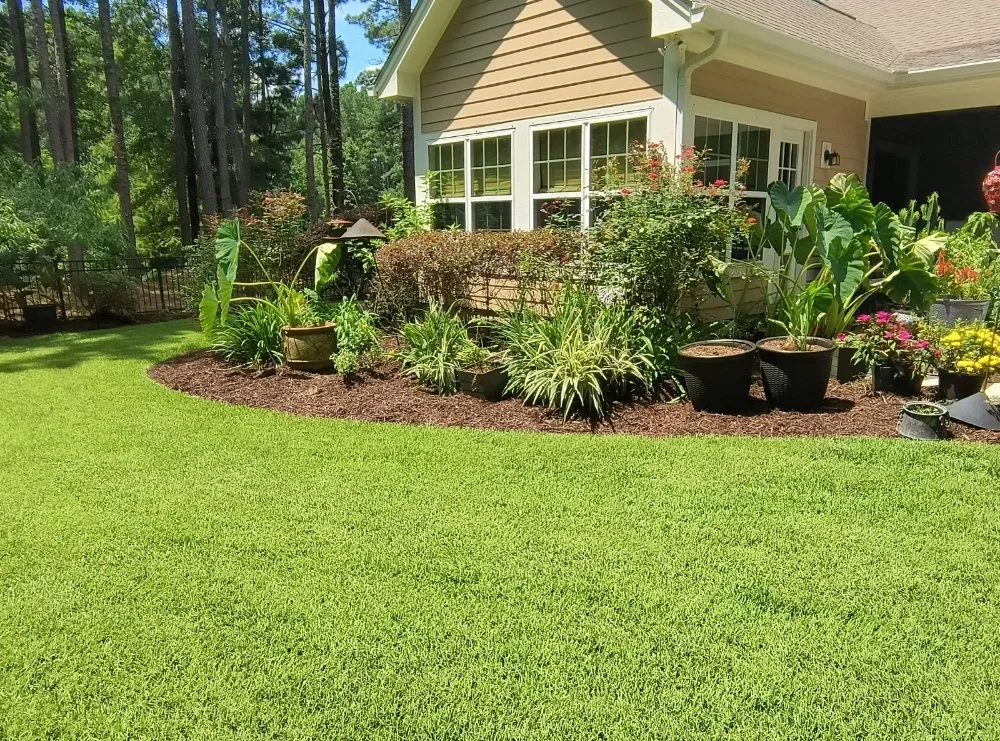 Professional yard cleanup service in Bluffton, SC - SC Landscaping and Design