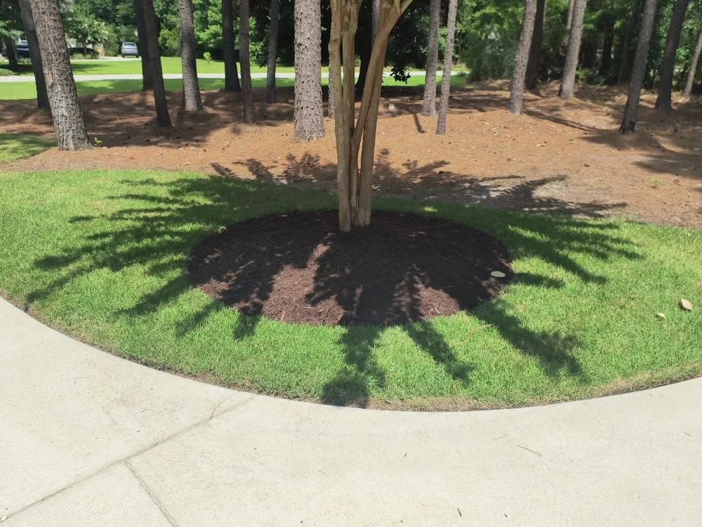 Expert lawn mowing service with custom design across Bluffton, SC - SC Landscaping and Design