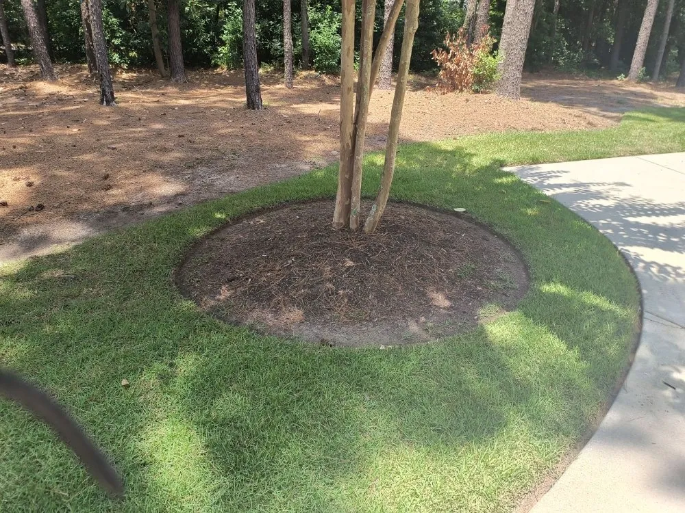 Reliable lawn care service experts serving Bluffton, SC - SC Landscaping and Design