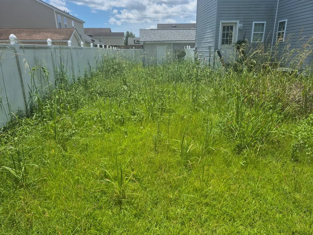 Local lawn mowing service experts serving Bluffton, SC - SC Landscaping and Design