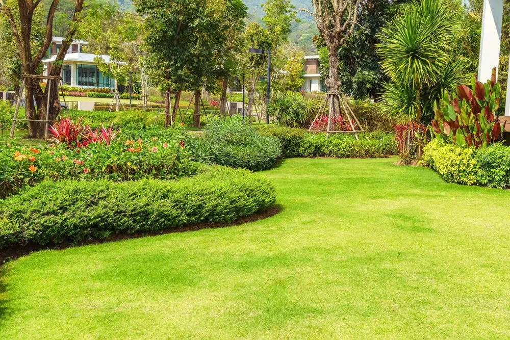 Local residential landscaping for beautiful yards across Bloomfield, NJ - S&C Landscaping