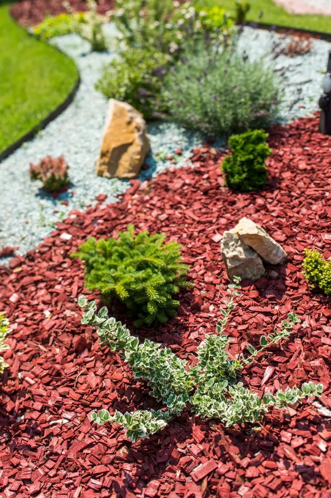 Reliable yard cleanup service experts serving Bloomfield, NJ - S&C Landscaping