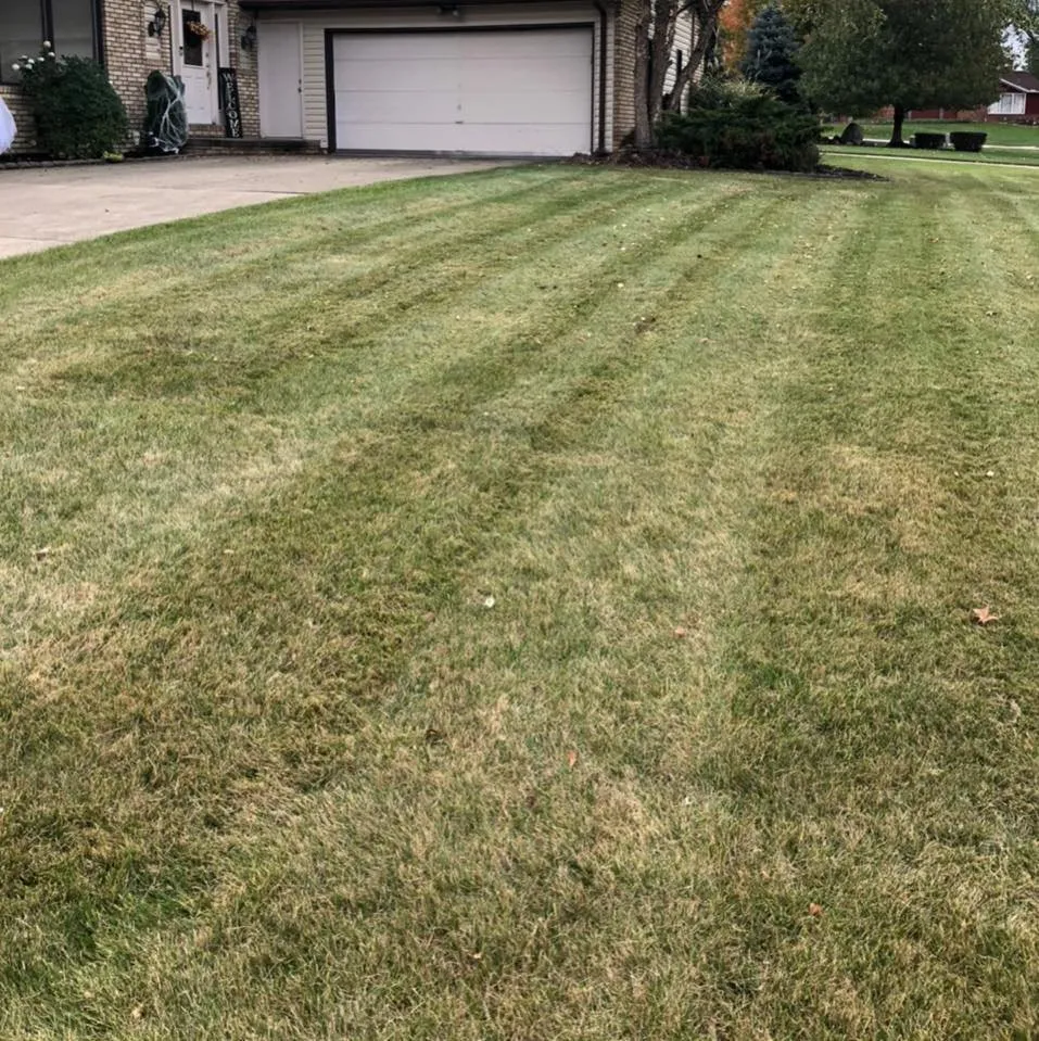 Professional landscaping services for beautiful yards across Ross, OH - S&C Landscaping