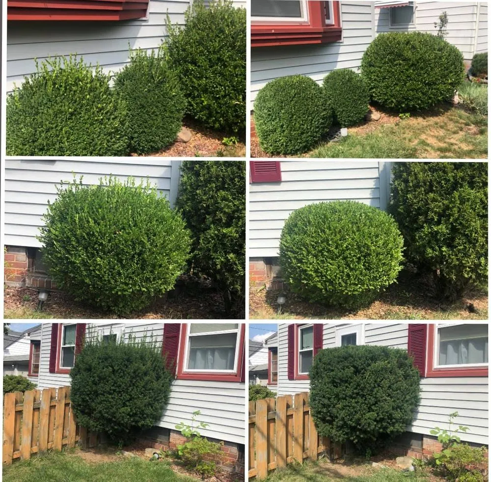 Expert yard maintenance for outdoor upgrades in Ross, OH by S&C Landscaping