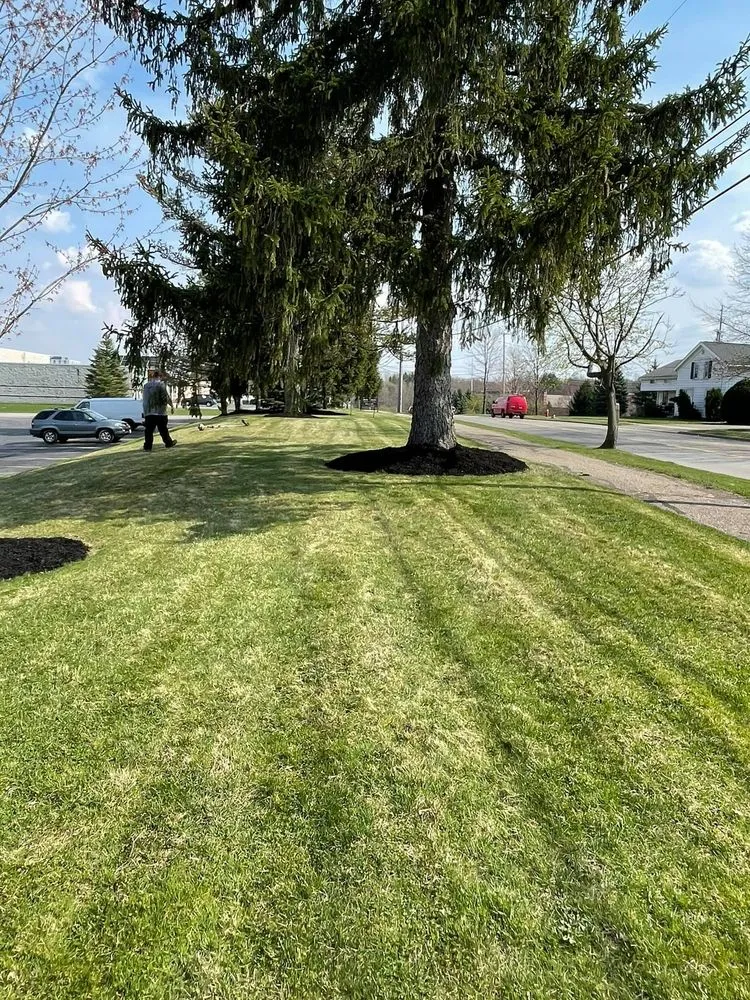 Local yard maintenance experts serving Ross, OH - S&C Landscaping