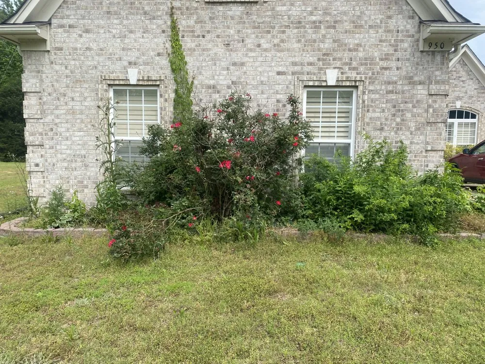 Local landscaping services in Senatobia, MS - Sc Landscaping