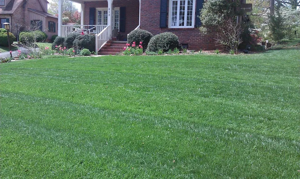 Custom yard maintenance for outdoor upgrades in Elon, NC by SC Lawn Care