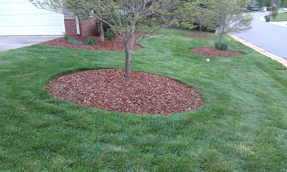 Local landscaping services for homes in Elon, NC by SC Lawn Care