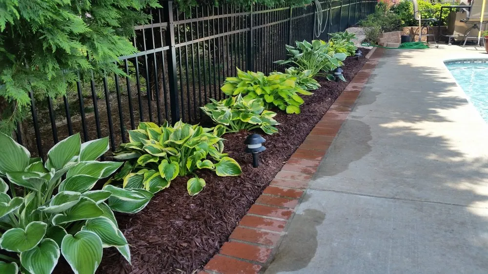 Top-rated residential landscaping experts serving Elon, NC - SC Lawn Care