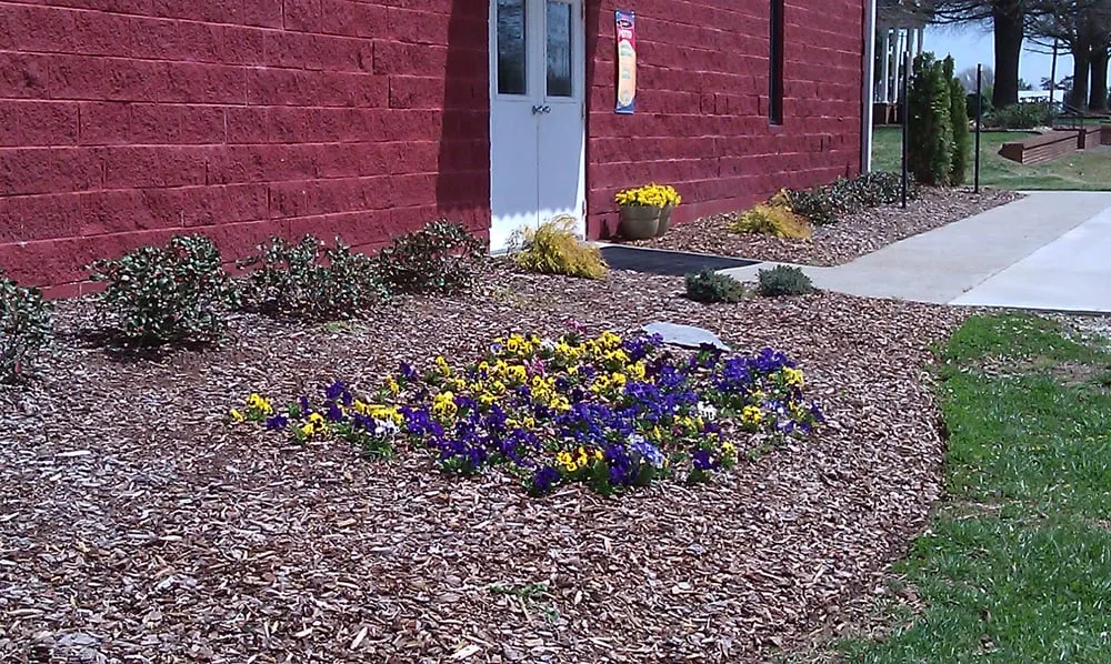 Affordable outdoor landscaping in Elon, NC - SC Lawn Care