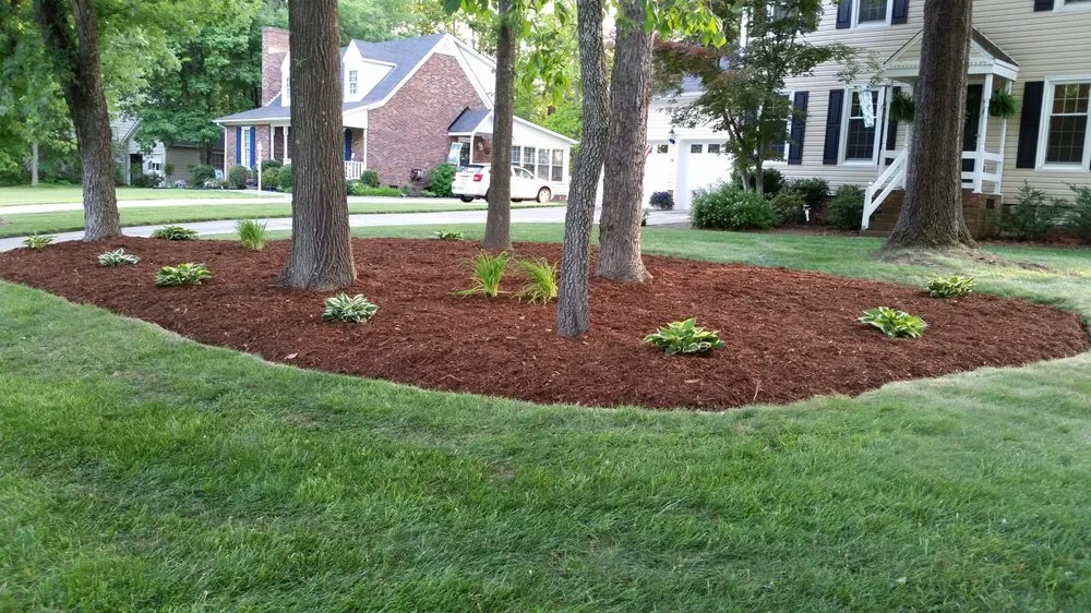 Local yard maintenance experts serving Elon, NC - SC Lawn Care