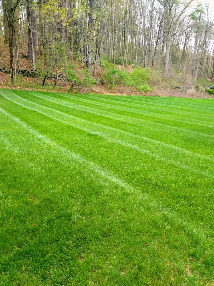 Local yard cleanup service for homes across Bedford, NH - SC Outdoor Services
