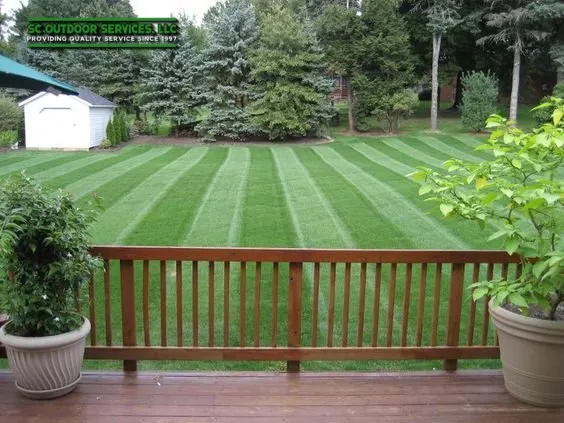 Expert yard cleanup service experts serving Bedford, NH - SC Outdoor Services