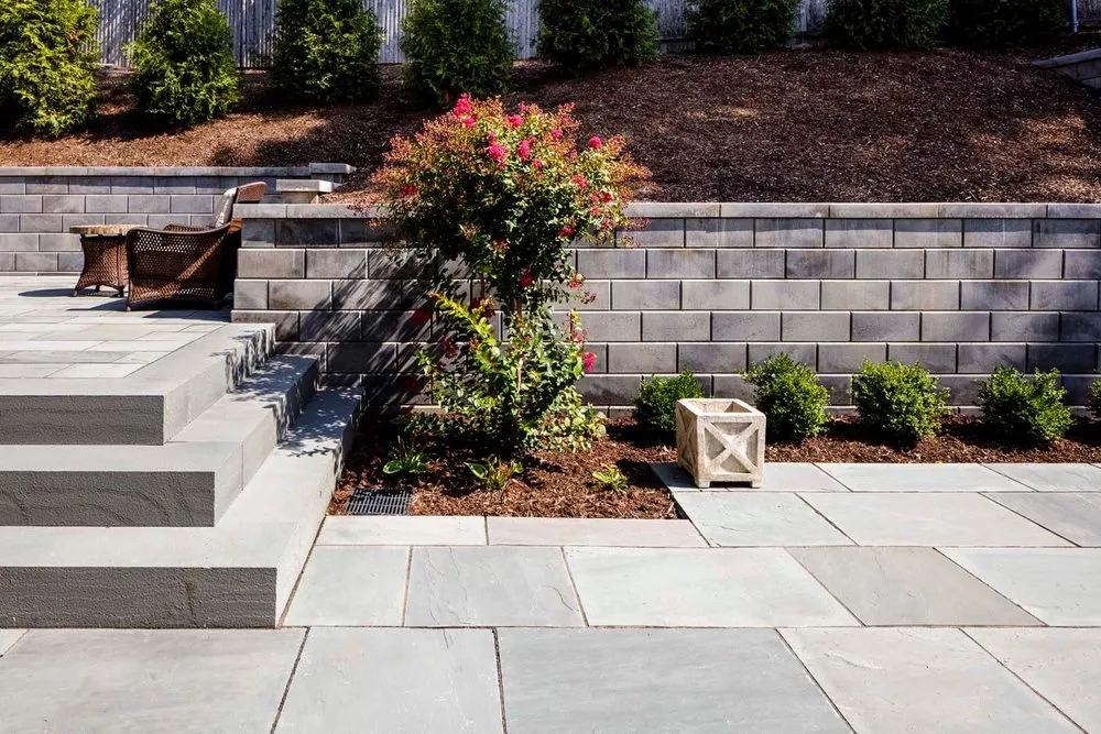 Expert yard cleanup service in Pelion, SC - SC Plus