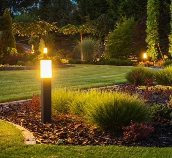 Top-rated residential landscaping in Pelion, SC - SC Plus